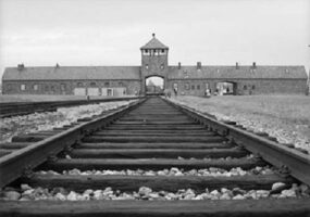 Auschwitz